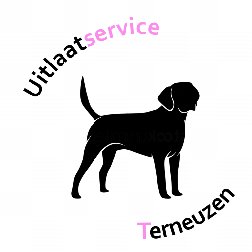 cropped-logo-uitlaatservice-terneuzen-1.png